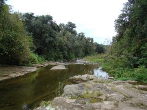 Lutreolina massoia, collection site